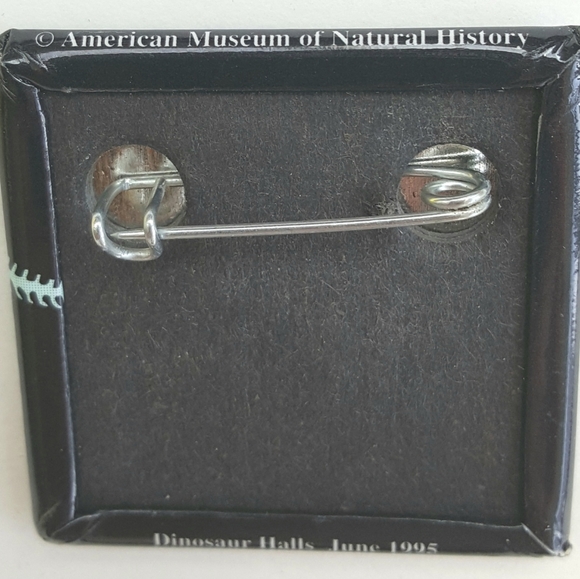 American Museum of Natural History Metal Square T Rex Dinosaur Bones Pin Geology - Picture 4 of 5